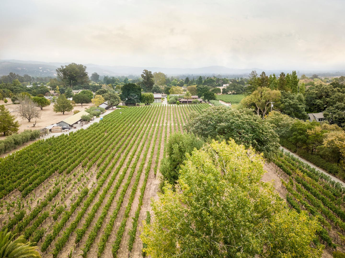 Luxury dining or gathering space